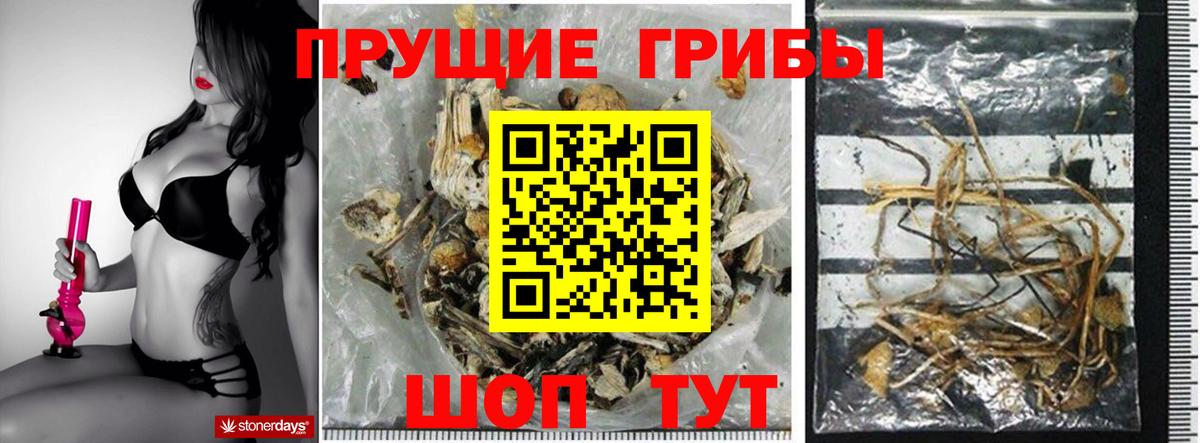 Галлюциногенные грибы MAGIC MUSHROOMS Бугуруслан