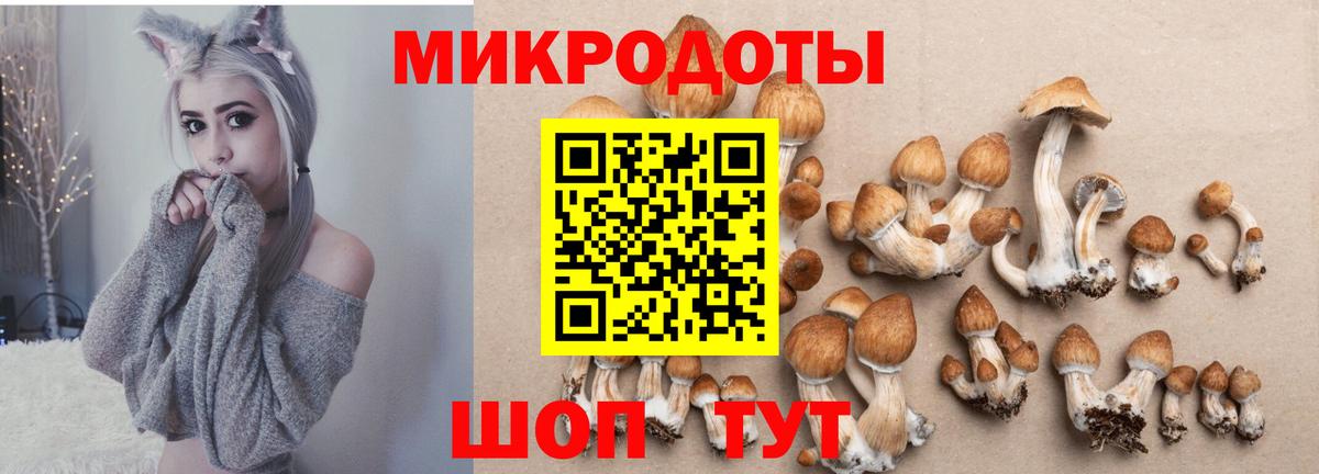 Бугуруслан  Псилоцибиновые грибы Psilocybe  Вход с VPN  Галлюциногенные грибы мухоморы 